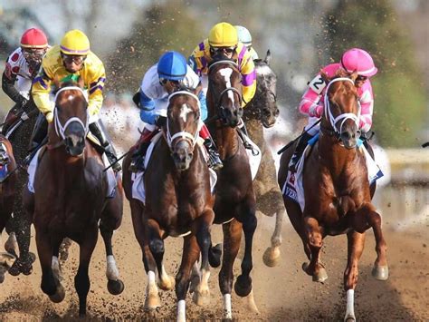 Meet the Contenders: 2024 Lexington Stakes .